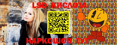 индика Пугачёв