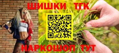 индика Пугачёв