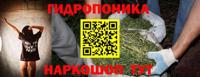 индика Пугачёв